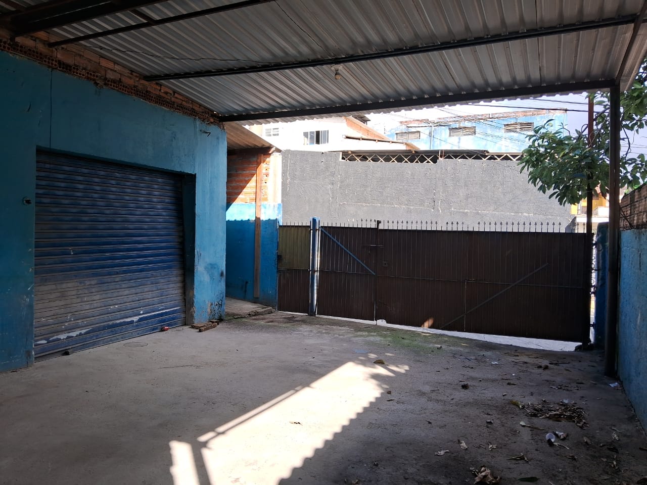 imgP11775