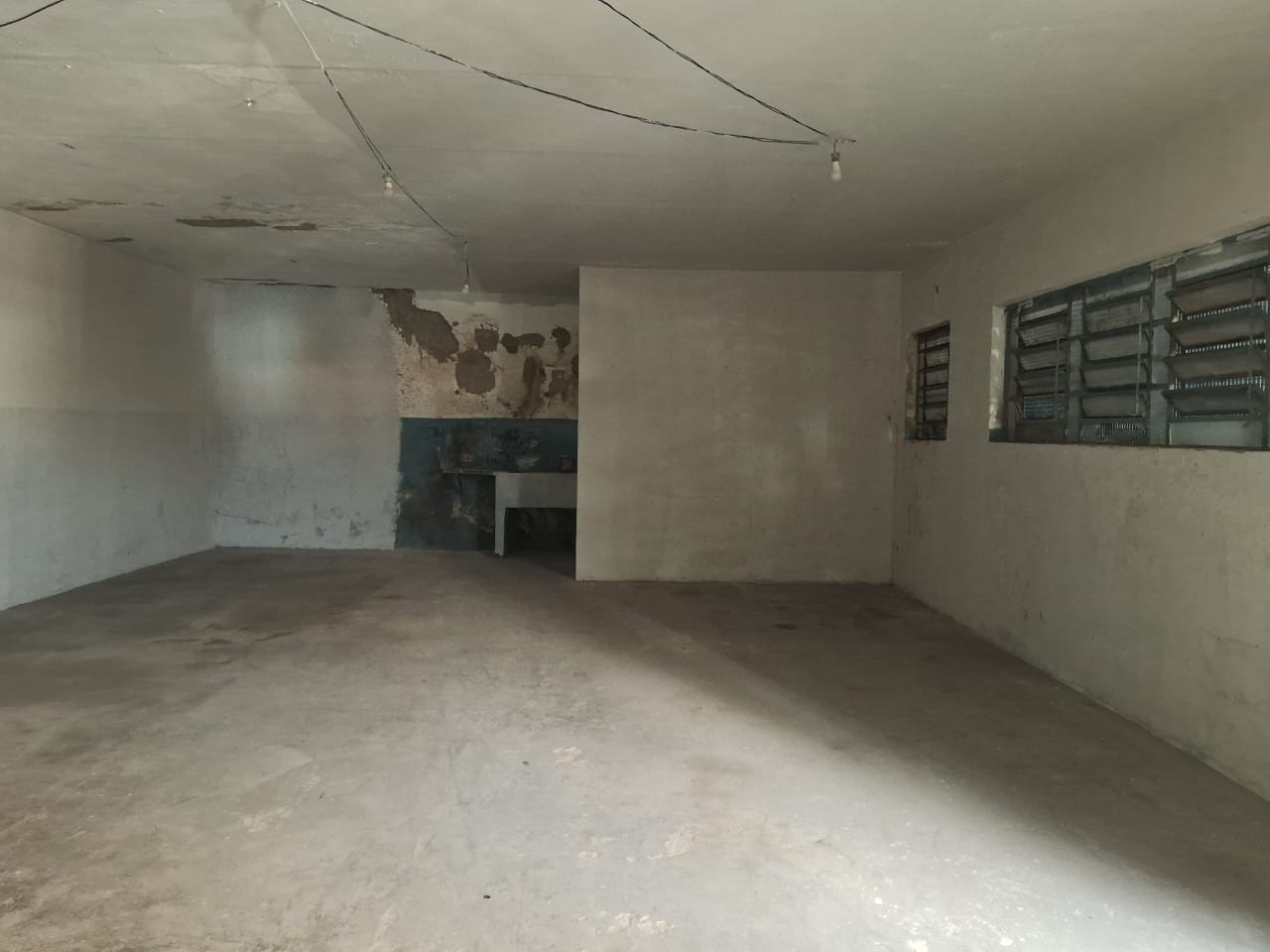 imgP11780