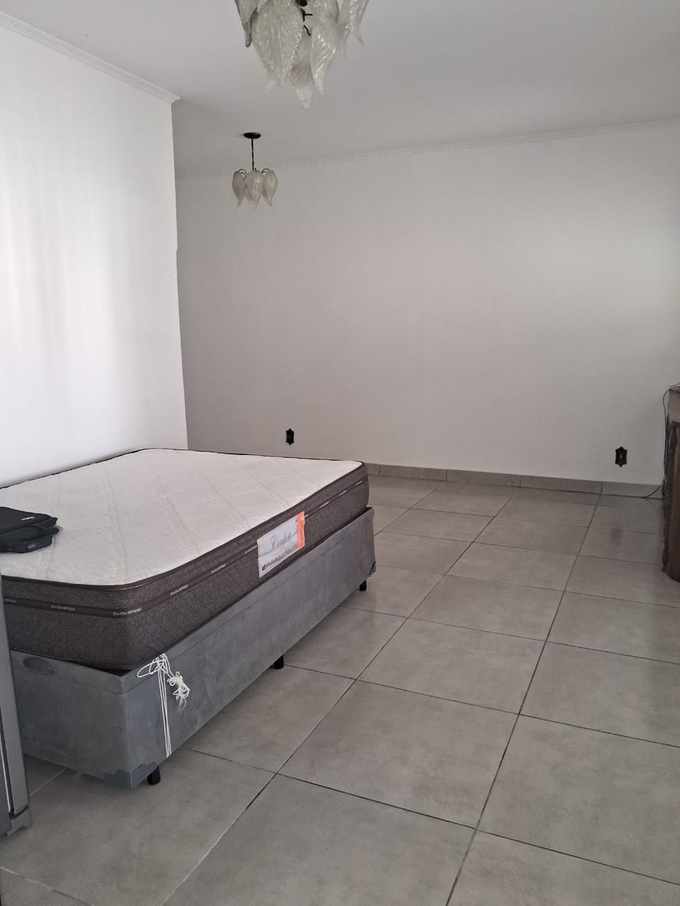 imgP12063