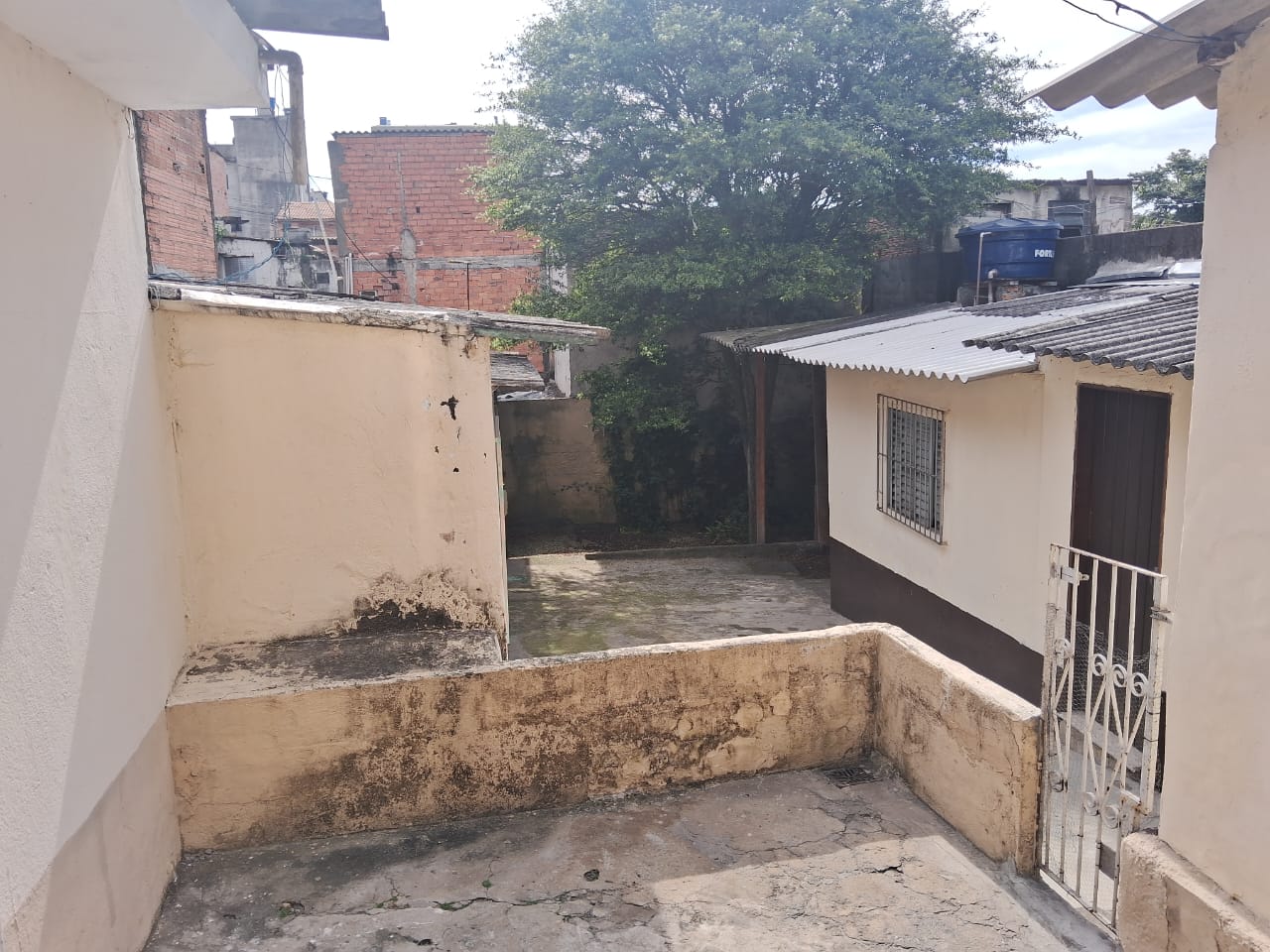 imgP12052